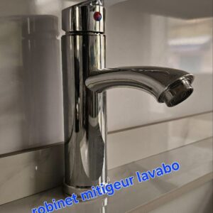 Robinet mitigeur lavabo