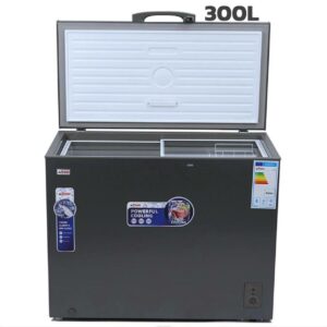 Congelateur horizontal 300L