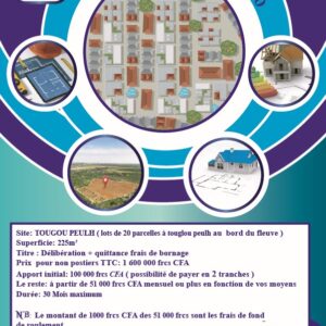 Immobilier