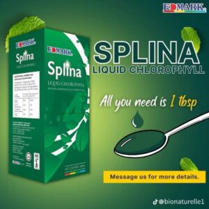 Spline