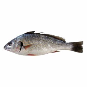 Ndiaané