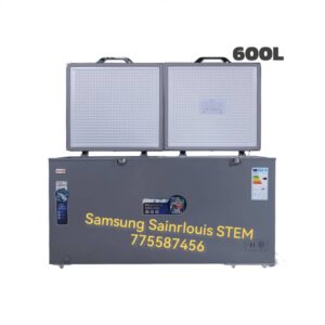Congélateur 600L