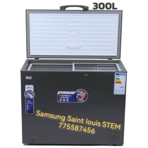Congélateur 300L