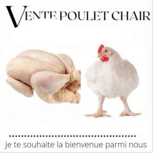 Poulet