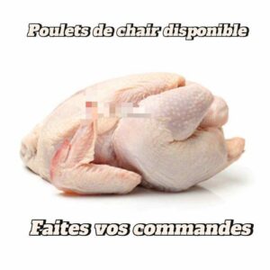 Poulet