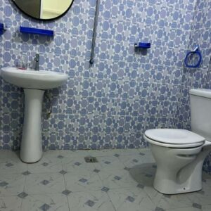 Chaise anglaise & Lavabo