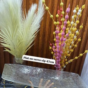 Plat en verre vip 47cm