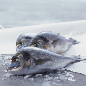 Dorade poisson frais