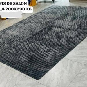 Tapis de Salon