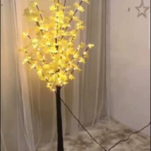 Jeux de lumières