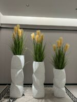 WhatsApp Image 2025-11-03 at 09.03.33 (1)