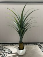 WhatsApp Image 2025-11-03 at 09.03.35 (1)