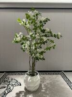 WhatsApp Image 2025-11-03 at 09.03.36 (1)