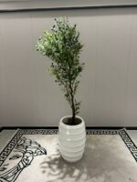 WhatsApp Image 2025-11-03 at 09.03.36