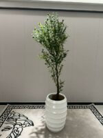 WhatsApp Image 2025-11-03 at 09.03.36 (2)