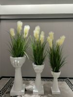 WhatsApp Image 2025-11-03 at 09.03.38