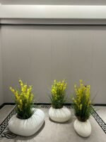 WhatsApp Image 2025-11-03 at 09.03.39