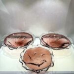 WhatsApp Image 2025-11-03 at 09.03.39 (2)