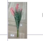 WhatsApp Image 2025-11-03 at 09.03.52 (1)