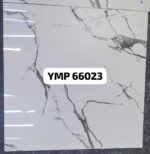 WhatsApp Image 2025-11-06 at 13.47.10