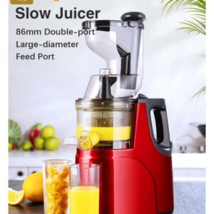 Slow juicer