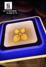 WhatsApp Image 2025-11-14 at 12.31.07 (1)