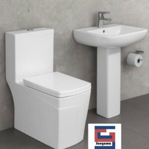Commode de Toillette occidentale monobloc