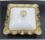 WhatsApp Image 2025-11-21 at 10.46.22