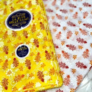 Tini Mini aida gueye