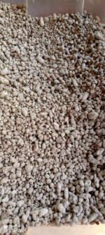 WhatsApp Image 2025-12-05 at 12.25.58