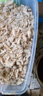 WhatsApp Image 2025-12-05 at 12.25.59